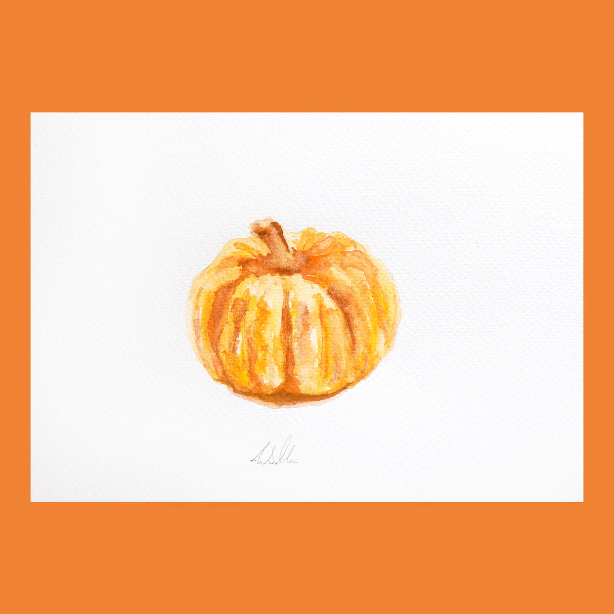 Plump Pumpkin