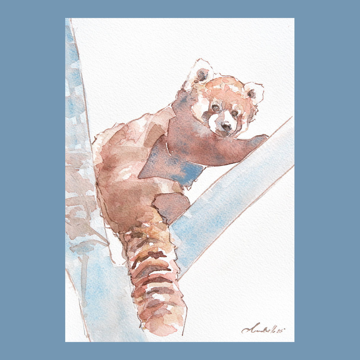 Ruby the Red Panda