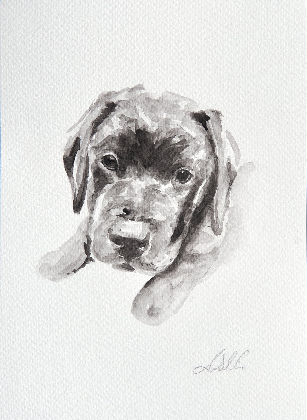 A5 Pet Watercolour Commission