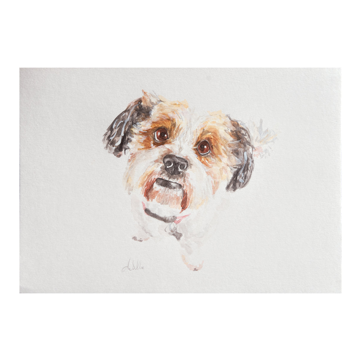 A4 Pet Watercolour Commission