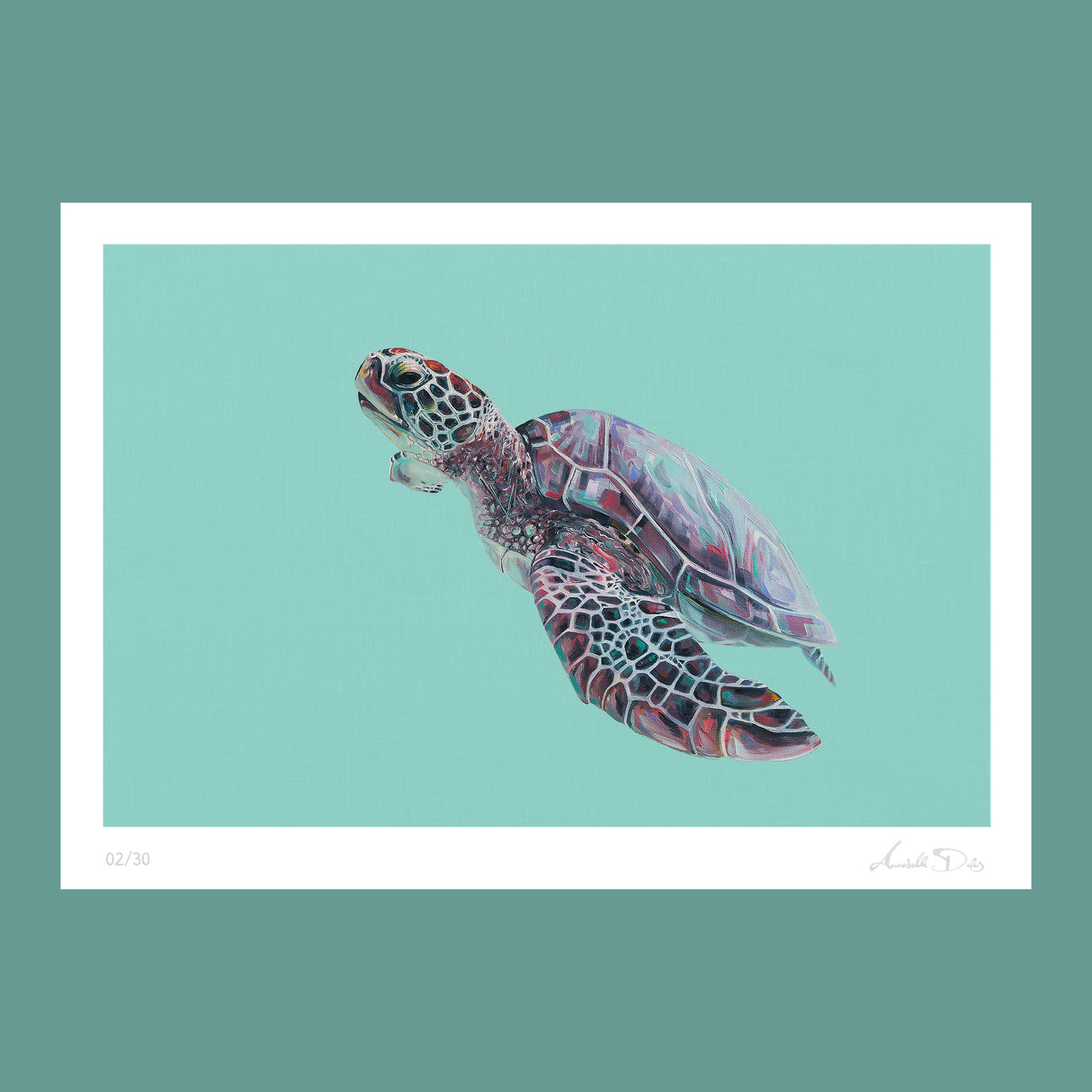 Teal Turtle