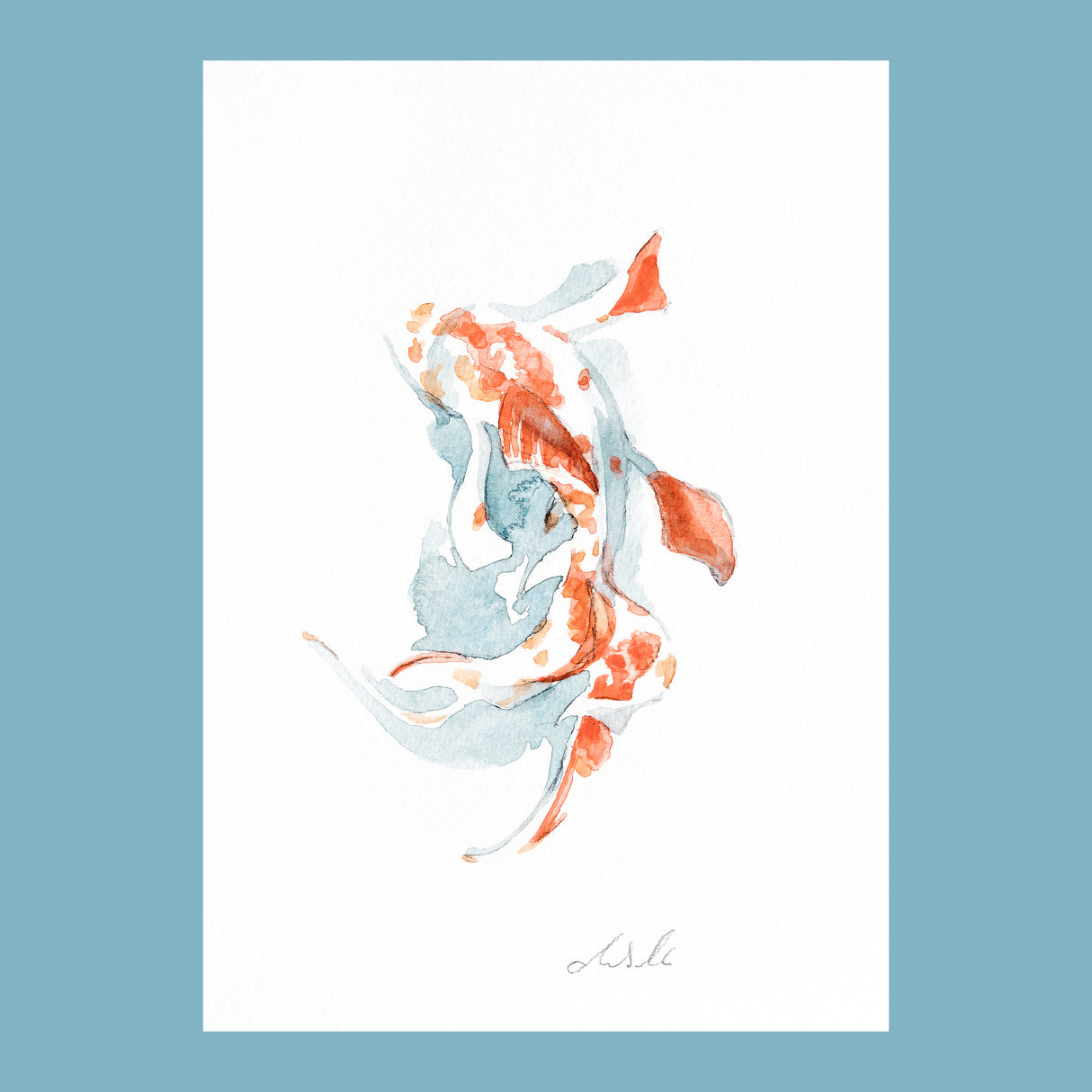 Koi