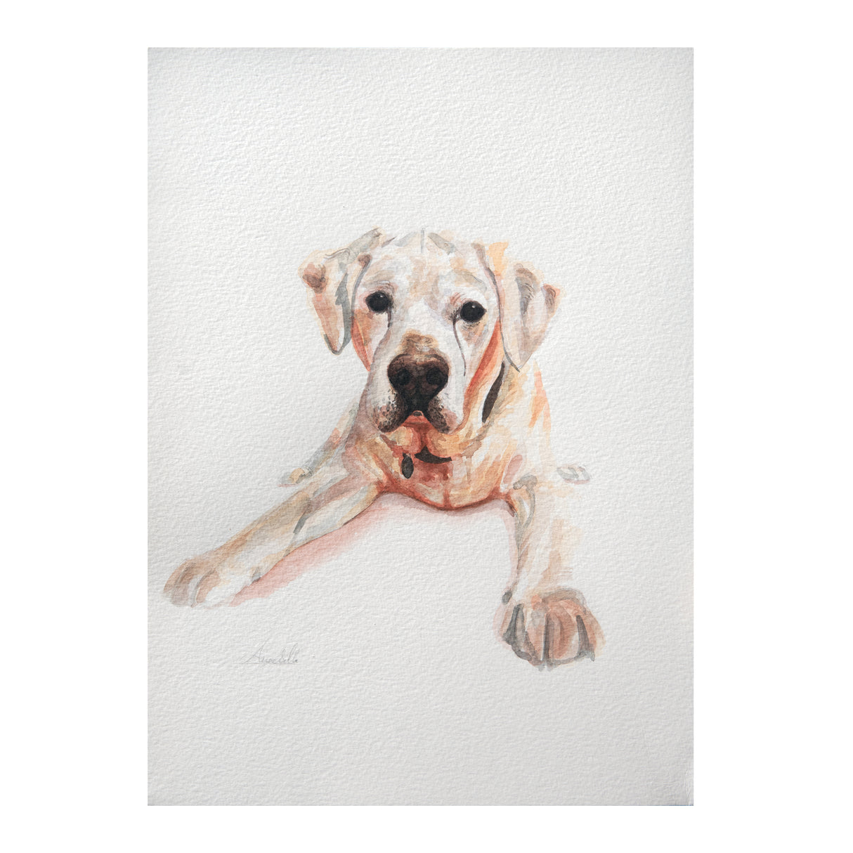 A4 Pet Watercolour Commission