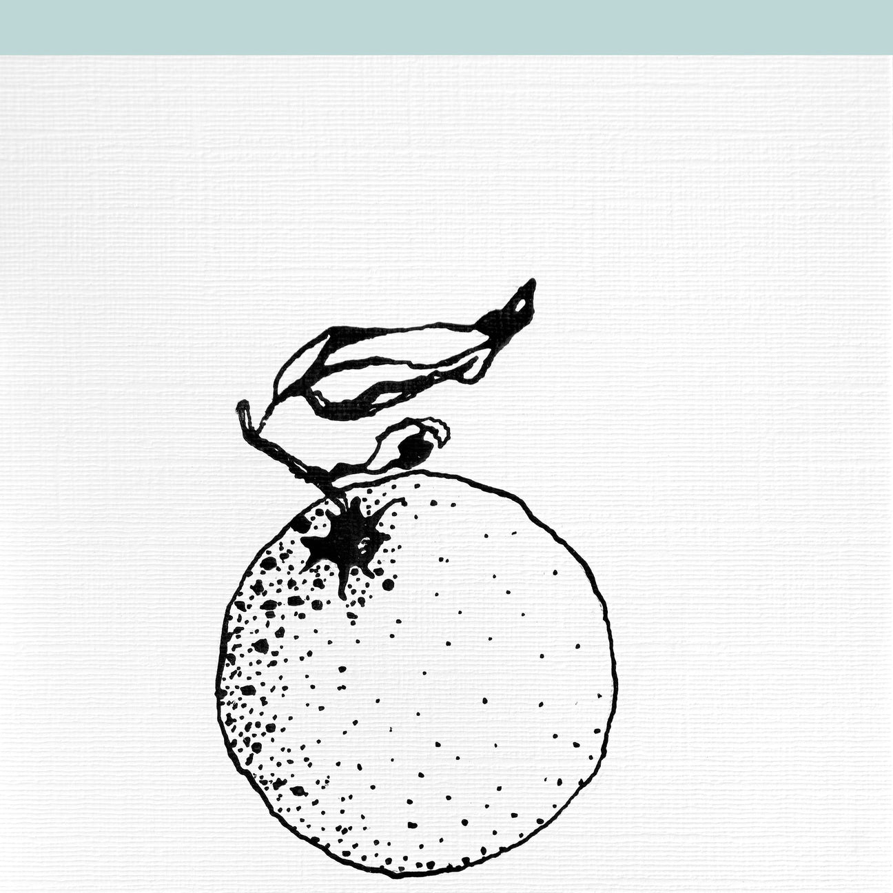 Pencil & Ink Drawings