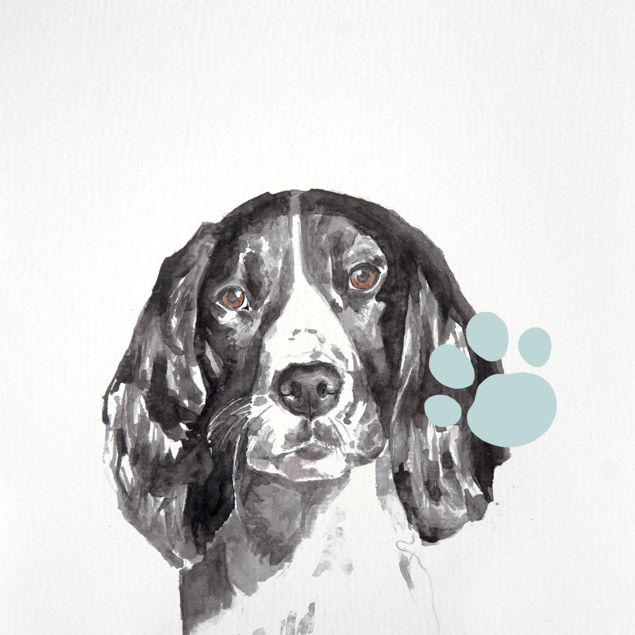 Pet Portraits