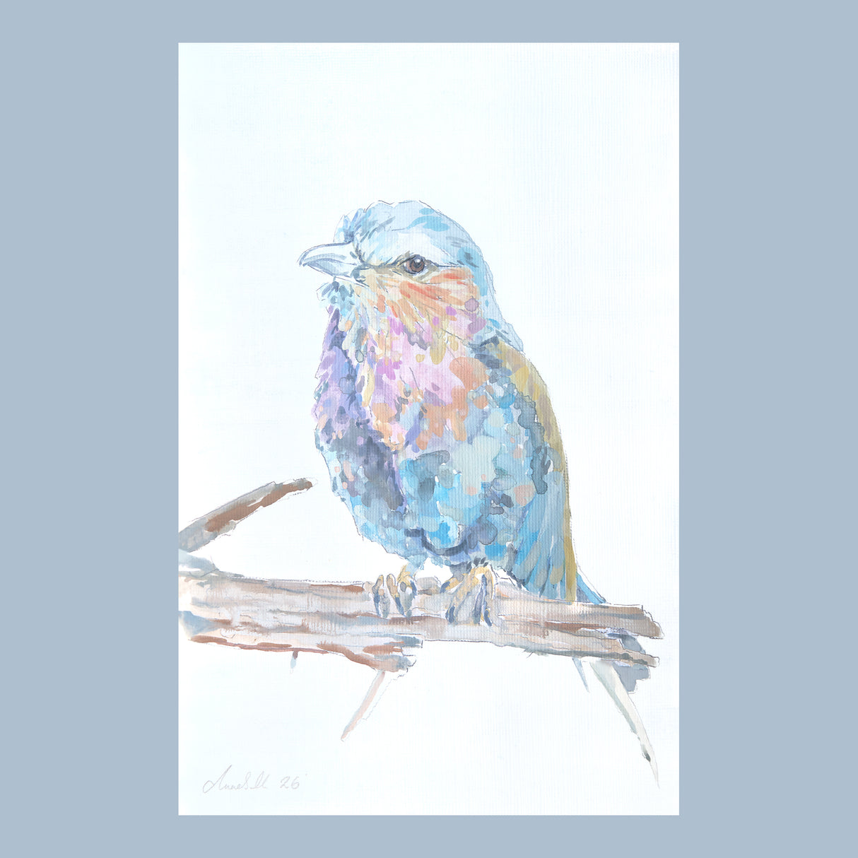 Lilac Roller