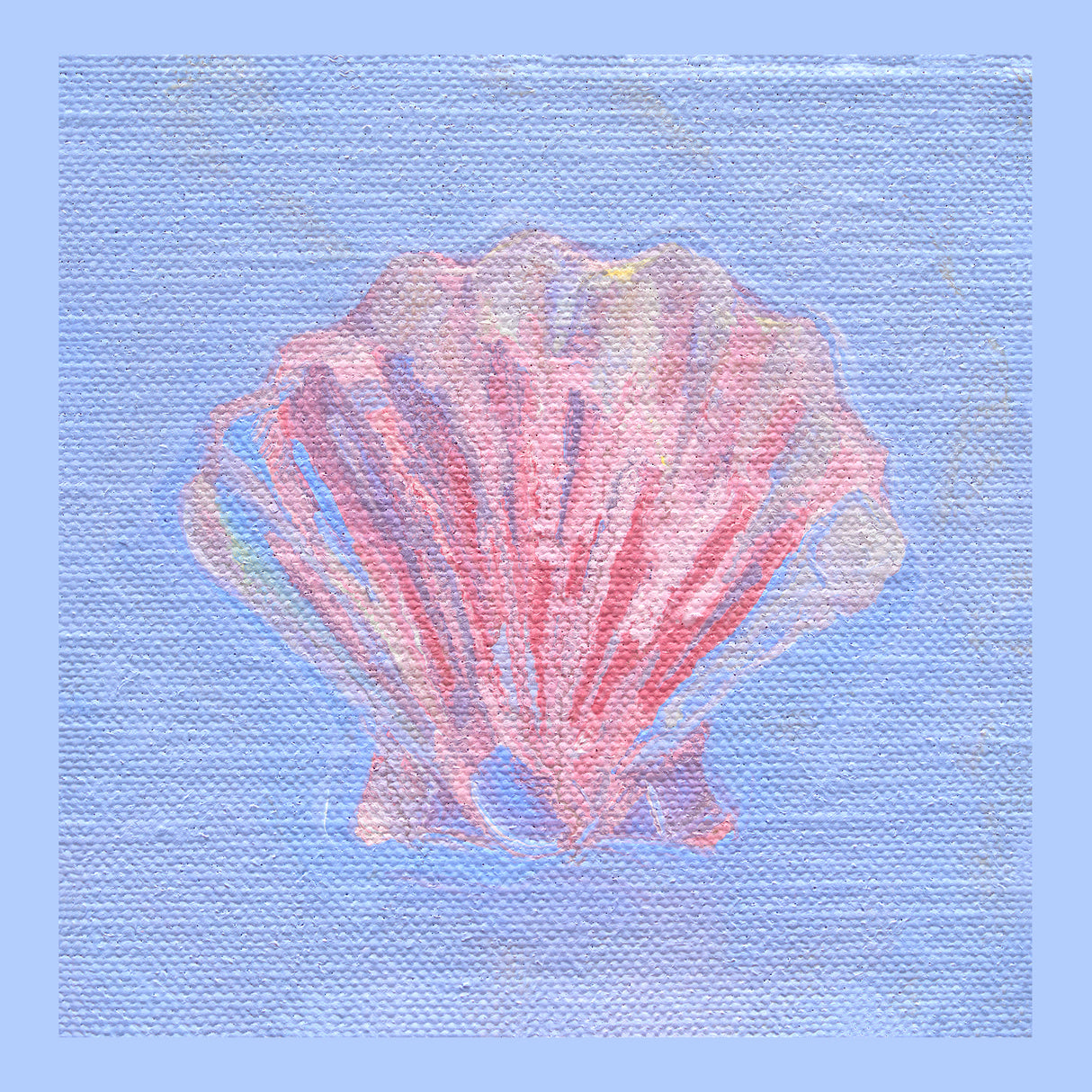 Lil' Pink Shell
