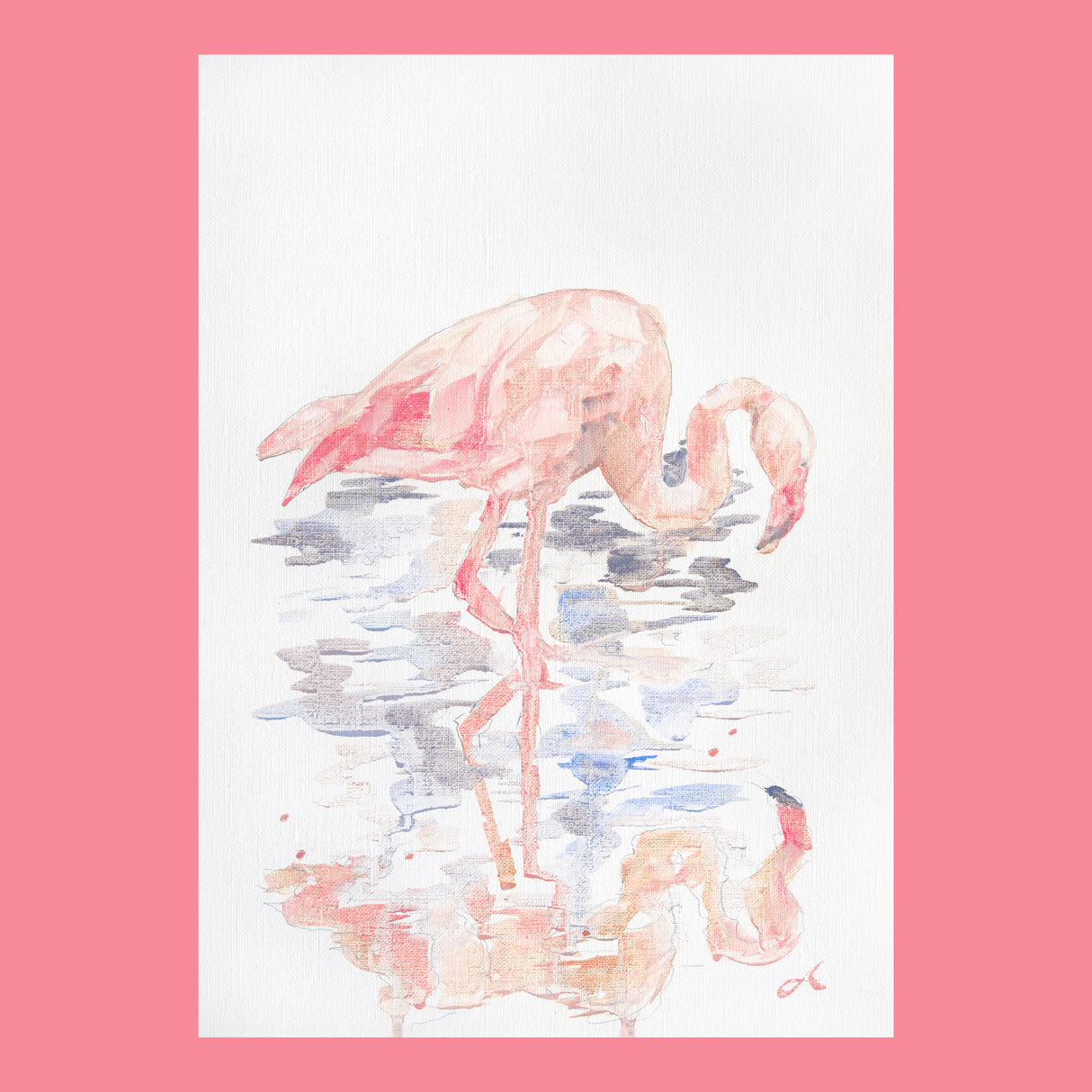 Searching for Shrimp