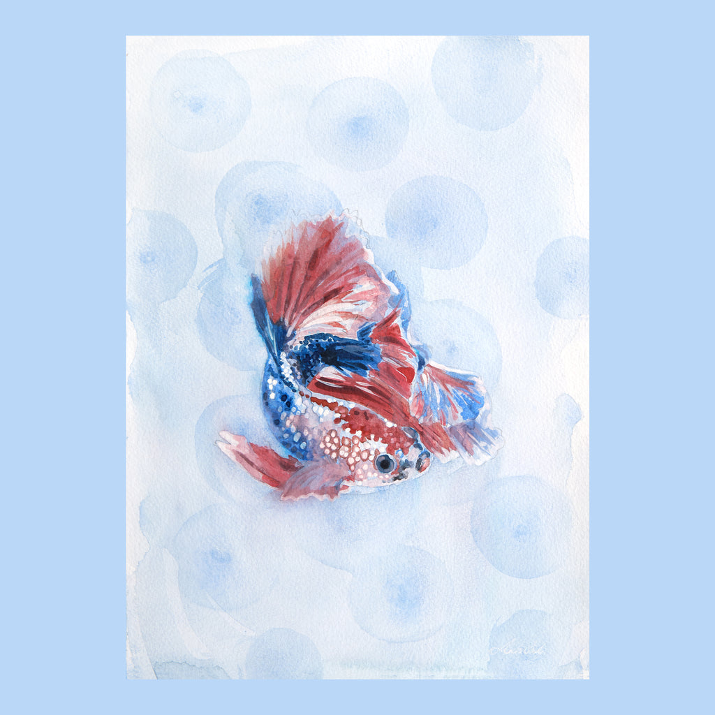 Betta Siamese Fighting Fish - An Original Watercolour Painting