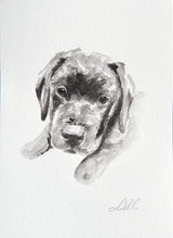 A5 Pet Watercolour Commission