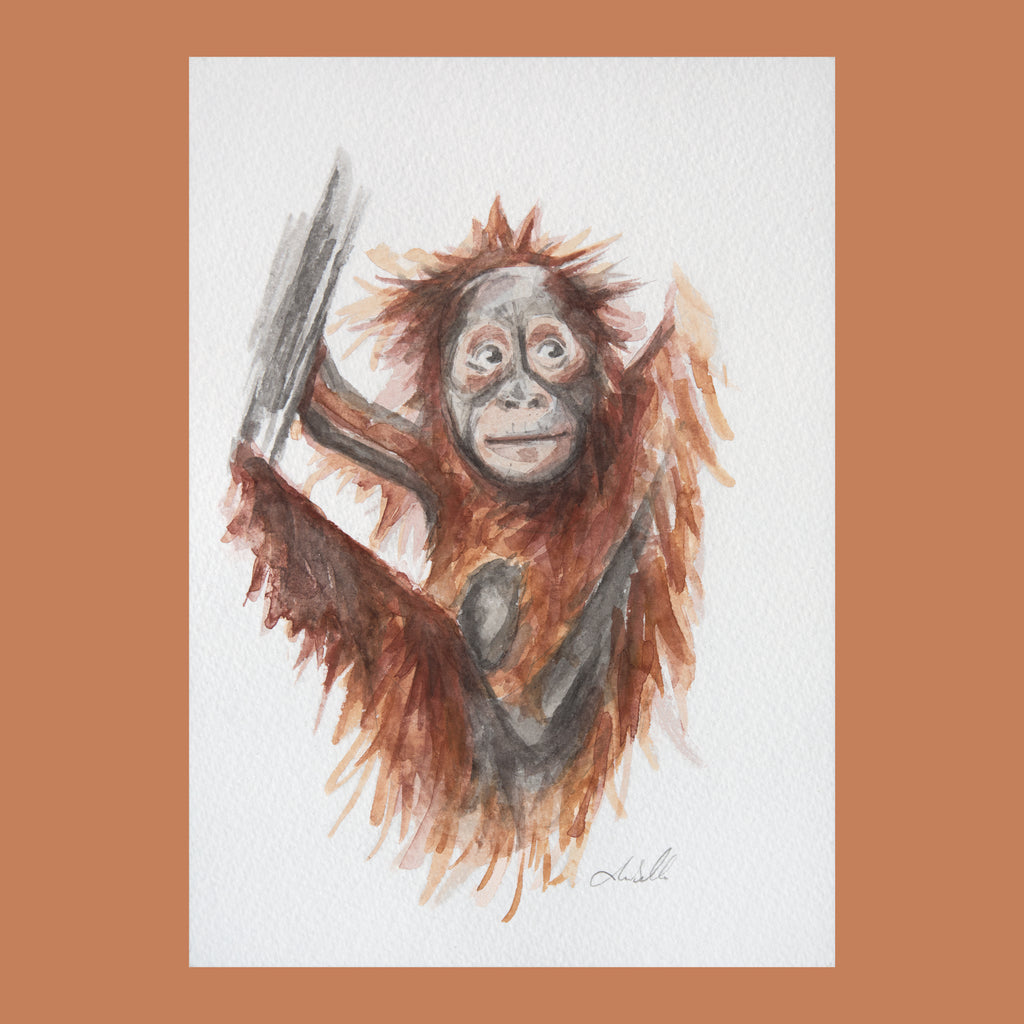 Baby Orangutan - An Original Watercolour Painting