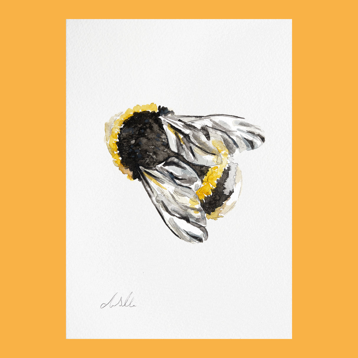Bee