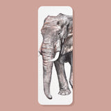 Equator Safari Bookmark Bundle