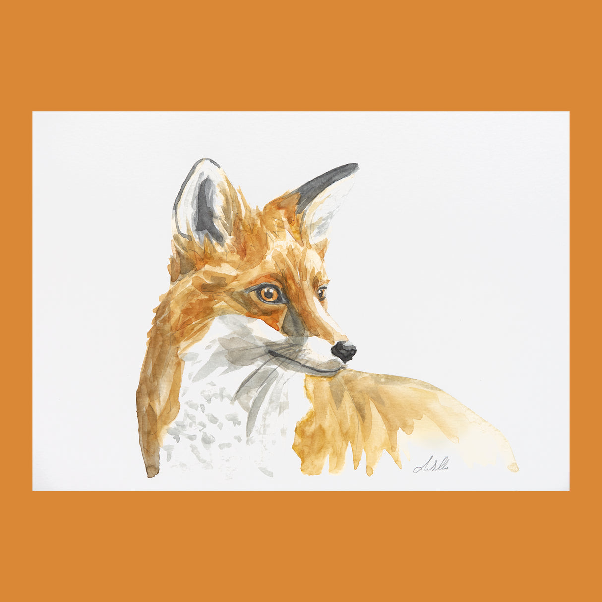 Fox - An Original Watercolour Painting