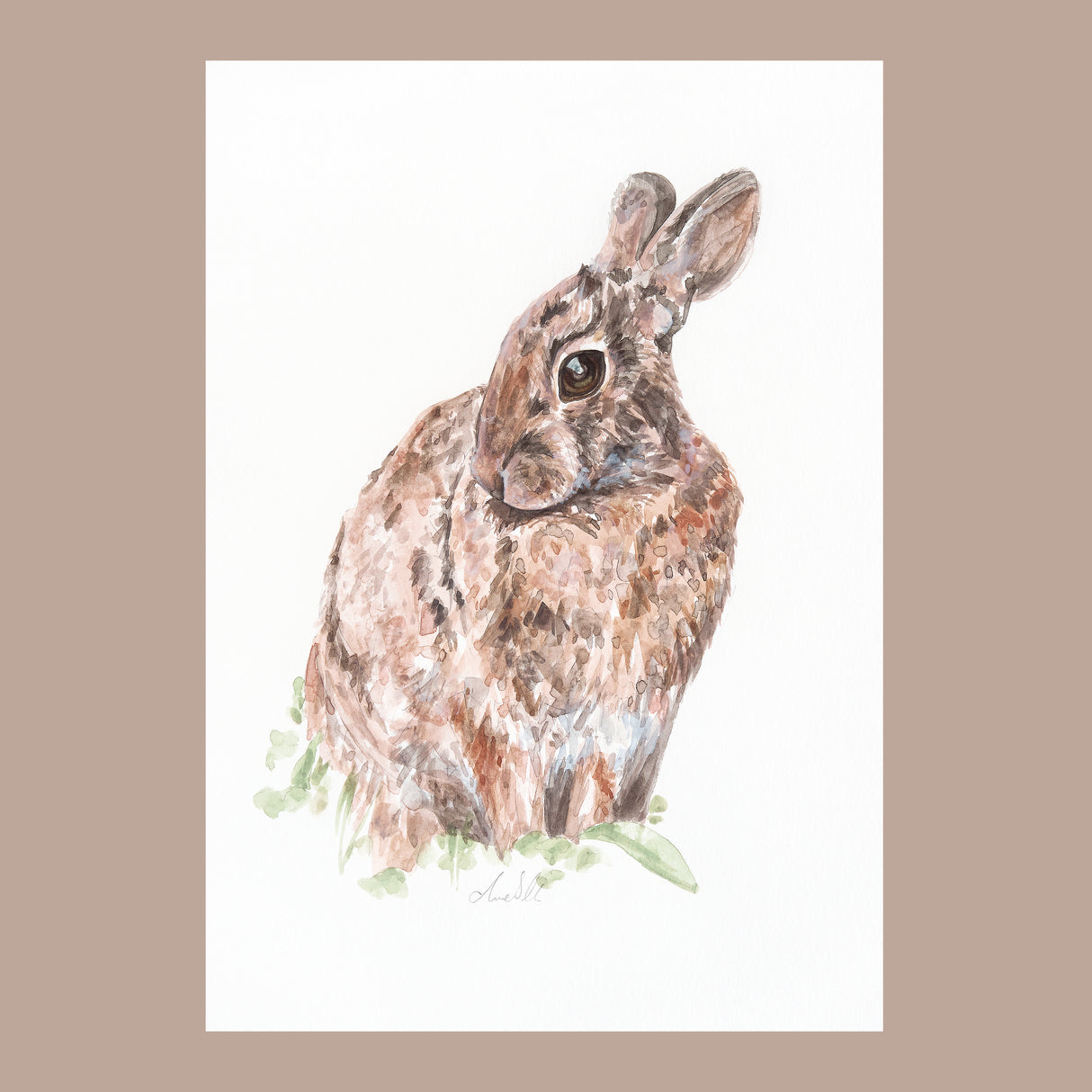 Hare
