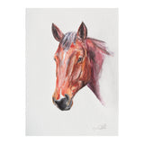 A4 Pet Watercolour Commission