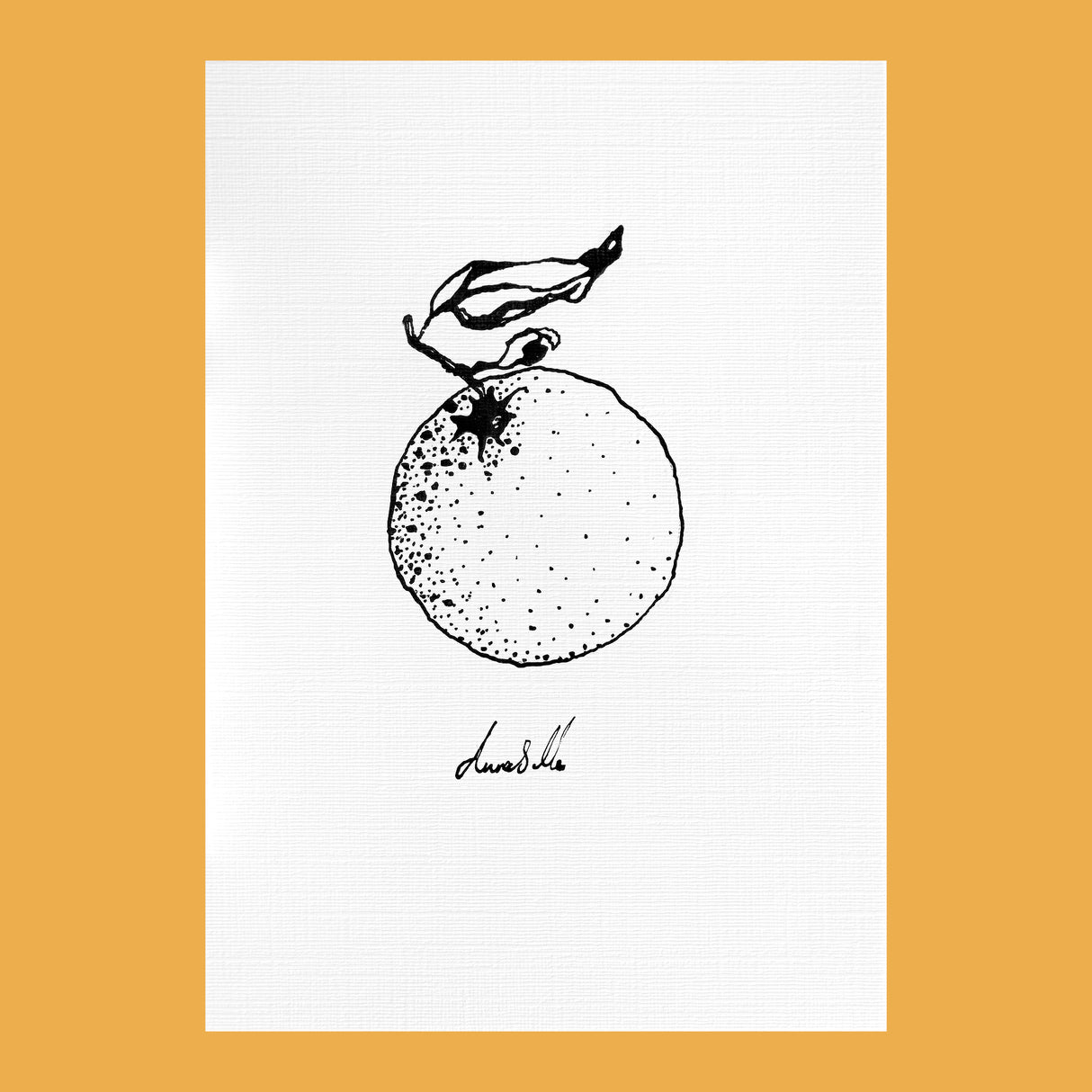 Orange - An Original Ink Drawing