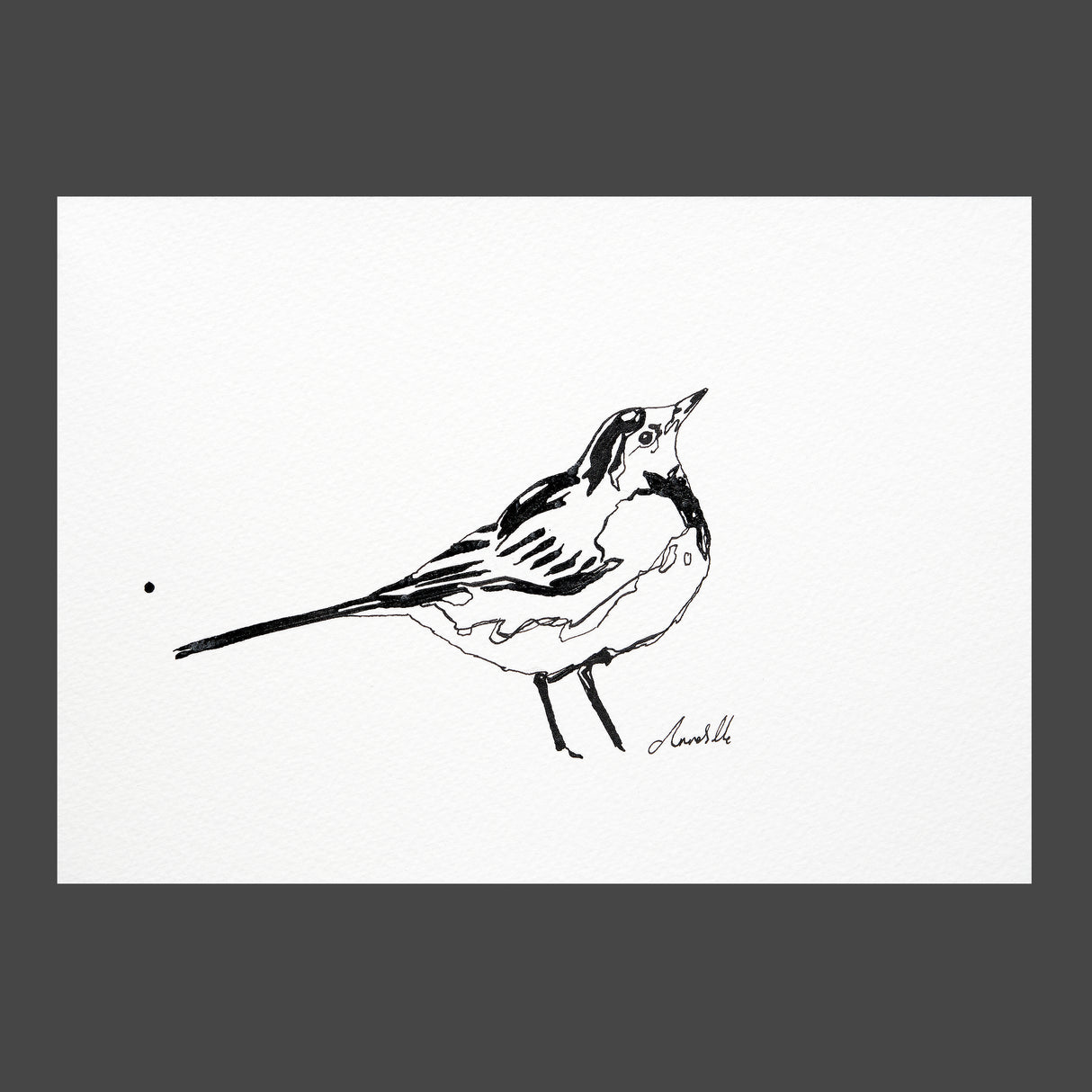 Ink Wagtail