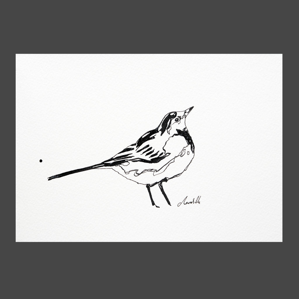 Ink Wagtail - An Original Watercolour Painting