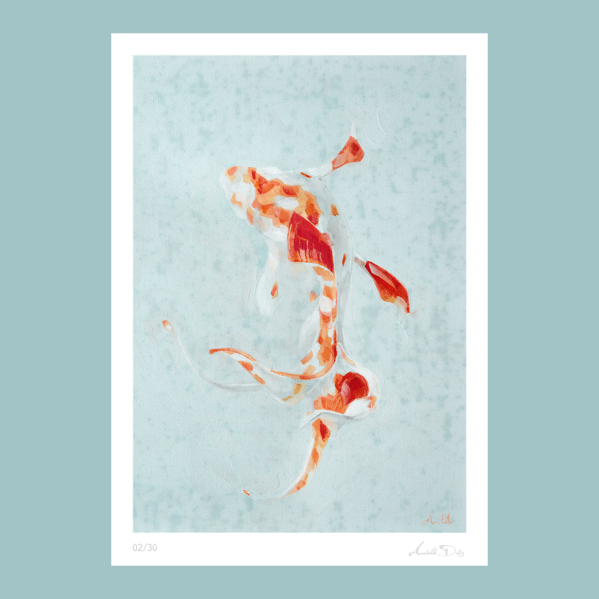 Koi