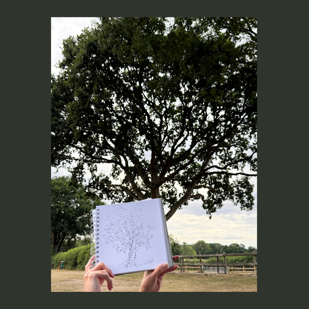 Red Shoot Oak - An Original Pencil Drawing