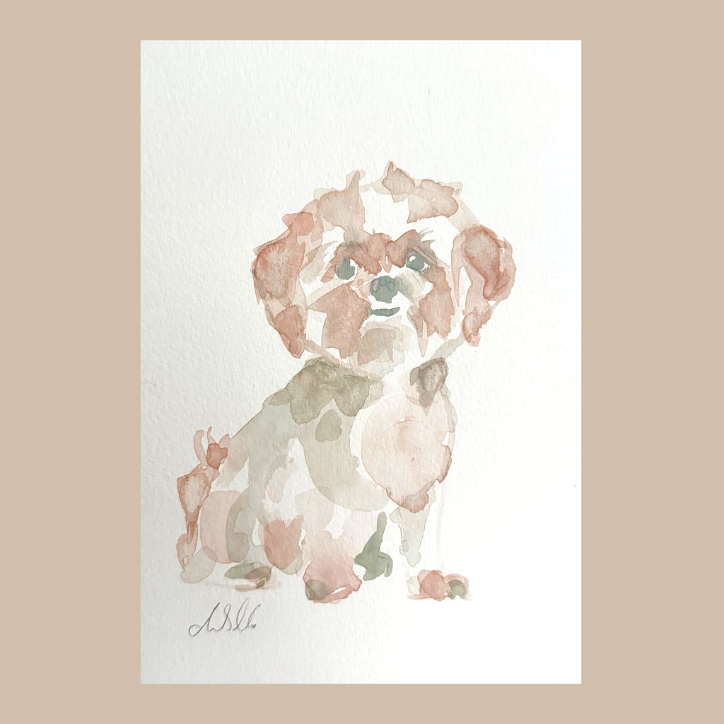 Sassy Shih Tzu - An Original Gouache Painting