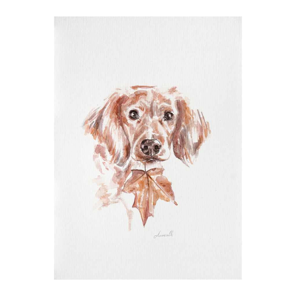 A4 Pet Watercolour Commission