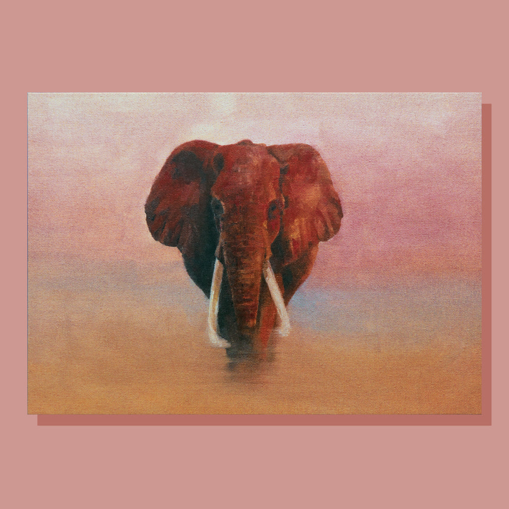 Sunset Elephant Postcard