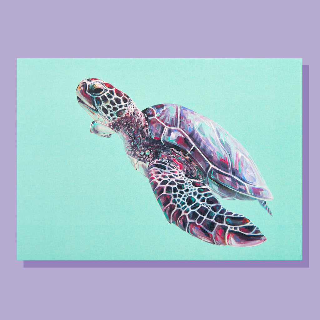 Teal Turtle Postcard