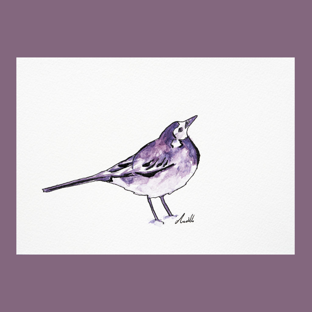 Wagtail - An Original Watercolour Painting