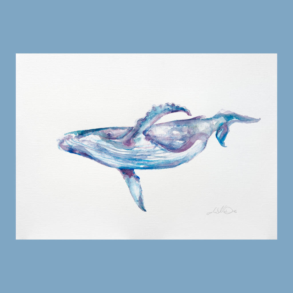 Blue Whale - An Original Watercolour Painting