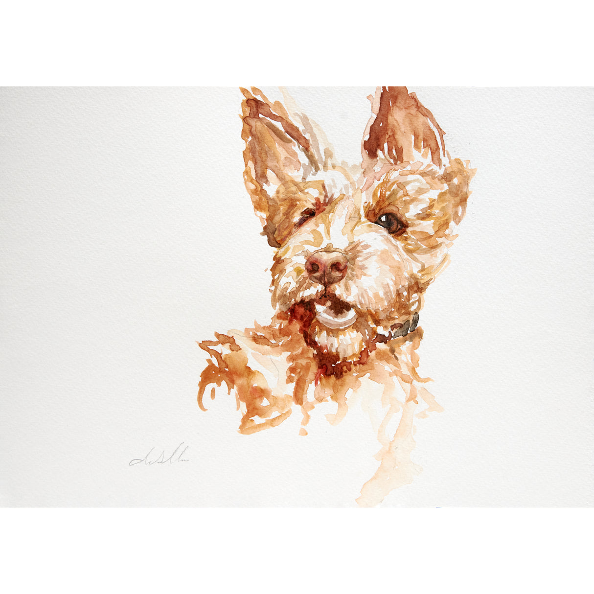 A4 Pet Watercolour Commission