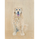 30x40cm Pet Oil Commission