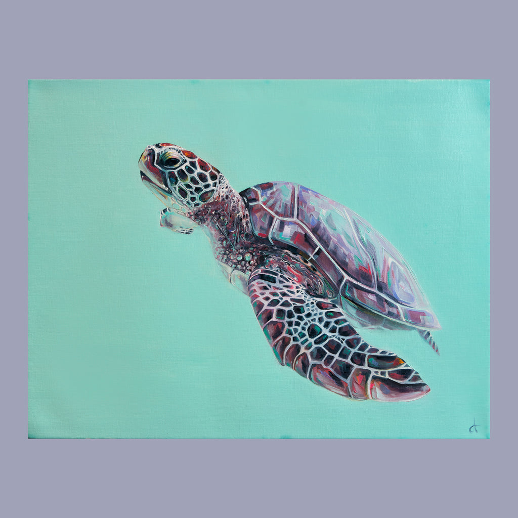 Teal Turtle  - An Original Oil Painting